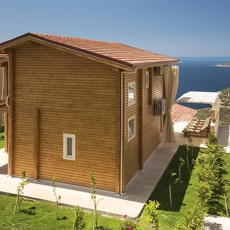 Eco Fulya